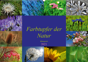 Farbtupfer der Natur – Blütenpracht (Wandkalender 2021 DIN A2 quer) von Michel,  Susan