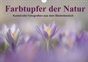 Farbtupfer der Natur / Kunstvolle Fotografien aus dem Blütenbereich (Wandkalender 2018 DIN A4 quer) von Michel,  Susan
