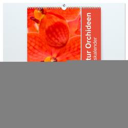 Farbzauber Natur Orchideen – Geburtstagskalender (hochwertiger Premium Wandkalender 2024 DIN A2 hoch), Kunstdruck in Hochglanz von Paul - Babett's Bildergalerie,  Babett