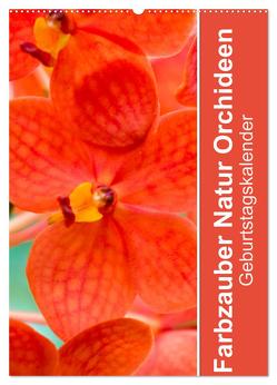 Farbzauber Natur Orchideen – Geburtstagskalender (Wandkalender 2024 DIN A2 hoch), CALVENDO Monatskalender von Paul - Babett's Bildergalerie,  Babett
