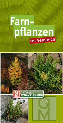 Farnpflanzen im Vergleich von Quelle & Meyer Verlag