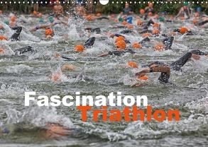 Fascination Triathlon (Wandkalender 2018 DIN A3 quer) von Will,  Hans