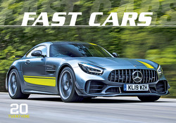 Fast Cars 2021 – Bild-Kalender 48,5×34 cm – Sportwagenkalender – Auto-Kalender – Technik-Kalender – Wand-Kalender – Alpha Edition