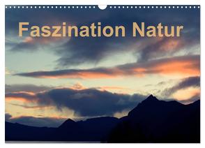Fasziantion Natur (Wandkalender 2024 DIN A3 quer), CALVENDO Monatskalender von Isemann,  Dieter