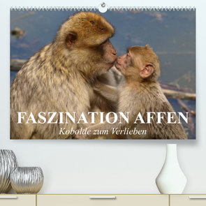 Faszination Affen. Kobolde zum Verlieben (Premium, hochwertiger DIN A2 Wandkalender 2023, Kunstdruck in Hochglanz) von Stanzer,  Elisabeth