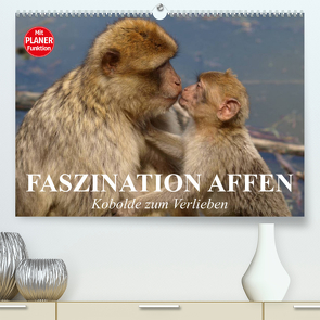 Faszination Affen. Kobolde zum Verlieben (Premium, hochwertiger DIN A2 Wandkalender 2023, Kunstdruck in Hochglanz) von Stanzer,  Elisabeth