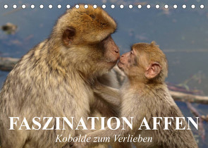 Faszination Affen. Kobolde zum Verlieben (Tischkalender 2023 DIN A5 quer) von Stanzer,  Elisabeth