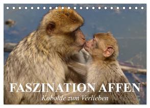 Faszination Affen. Kobolde zum Verlieben (Tischkalender 2024 DIN A5 quer), CALVENDO Monatskalender von Stanzer,  Elisabeth