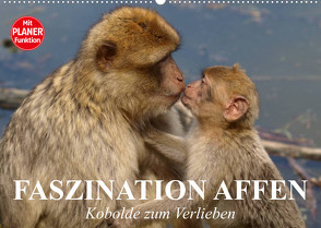 Faszination Affen. Kobolde zum Verlieben (Wandkalender 2023 DIN A2 quer) von Stanzer,  Elisabeth