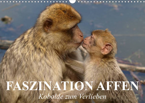 Faszination Affen. Kobolde zum Verlieben (Wandkalender 2023 DIN A3 quer) von Stanzer,  Elisabeth