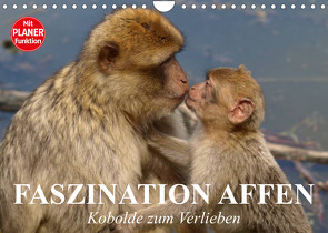 Faszination Affen. Kobolde zum Verlieben (Wandkalender 2023 DIN A4 quer) von Stanzer,  Elisabeth