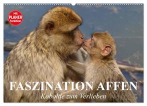 Faszination Affen. Kobolde zum Verlieben (Wandkalender 2024 DIN A2 quer), CALVENDO Monatskalender von Stanzer,  Elisabeth