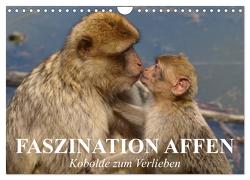 Faszination Affen. Kobolde zum Verlieben (Wandkalender 2024 DIN A4 quer), CALVENDO Monatskalender von Stanzer,  Elisabeth