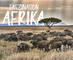 Faszination Afrika 2023 von Korsch Verlag