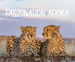 Faszination Afrika 2024 von Korsch Verlag