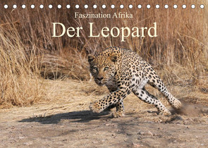 Faszination Afrika: Der Leopard (Tischkalender 2023 DIN A5 quer) von Weiß,  Elmar