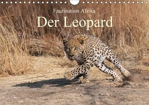 Faszination Afrika: Der Leopard (Wandkalender 2018 DIN A4 quer) von Weiß,  Elmar