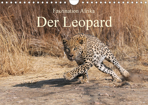 Faszination Afrika: Der Leopard (Wandkalender 2020 DIN A4 quer) von Weiß,  Elmar
