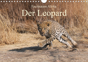 Faszination Afrika: Der Leopard (Wandkalender 2021 DIN A4 quer) von Weiß,  Elmar