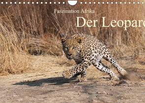 Faszination Afrika: Der Leopard (Wandkalender 2022 DIN A4 quer) von Weiß,  Elmar