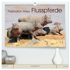Faszination Afrika: Flusspferde (hochwertiger Premium Wandkalender 2024 DIN A2 quer), Kunstdruck in Hochglanz von Weiß,  Elmar