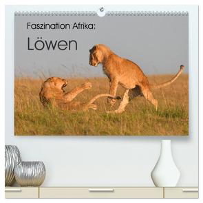 Faszination Afrika: Löwen (hochwertiger Premium Wandkalender 2024 DIN A2 quer), Kunstdruck in Hochglanz von Weiß,  Elmar