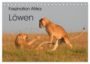 Faszination Afrika: Löwen (Tischkalender 2024 DIN A5 quer), CALVENDO Monatskalender von Weiß,  Elmar