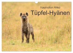 Faszination Afrika: Tüpfel-Hyänen (Wandkalender 2024 DIN A3 quer), CALVENDO Monatskalender von Weiß,  Elmar