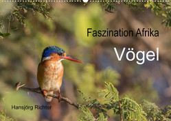 Faszination Afrika – Vögel (Wandkalender 2023 DIN A2 quer) von www.hjr-fotografie.de