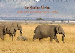 Faszination Afrika – wilde Tiere der Masai Mara – Kenia (Wandkalender 2019 DIN A3 quer) von Patzel,  Ralph