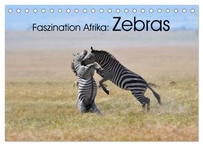 Faszination Afrika: Zebras (Tischkalender 2024 DIN A5 quer), CALVENDO Monatskalender von Weiß,  Elmar