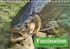 Faszination Angeln und Fischen (Tischkalender 2018 DIN A5 quer) von Stanzer,  Elisabeth
