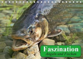 Faszination Angeln und Fischen (Tischkalender 2019 DIN A5 quer) von Stanzer,  Elisabeth