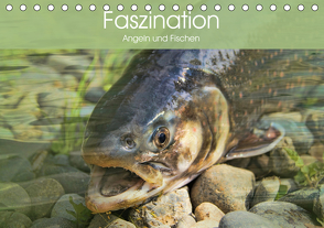 Faszination Angeln und Fischen (Tischkalender 2021 DIN A5 quer) von Stanzer,  Elisabeth