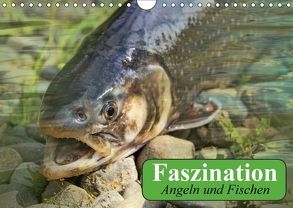 Faszination Angeln und Fischen (Wandkalender 2018 DIN A4 quer) von Stanzer,  Elisabeth