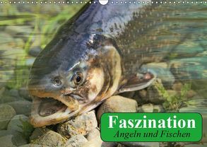 Faszination Angeln und Fischen (Wandkalender 2019 DIN A3 quer) von Stanzer,  Elisabeth