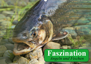 Faszination Angeln und Fischen (Wandkalender 2020 DIN A2 quer) von Stanzer,  Elisabeth