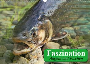 Faszination Angeln und Fischen (Wandkalender 2020 DIN A3 quer) von Stanzer,  Elisabeth