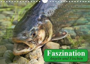 Faszination Angeln und Fischen (Wandkalender 2020 DIN A4 quer) von Stanzer,  Elisabeth