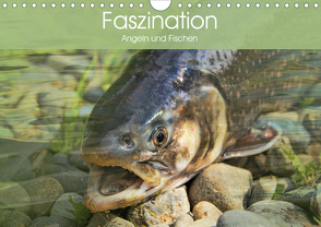Faszination Angeln und Fischen (Wandkalender 2021 DIN A4 quer) von Stanzer,  Elisabeth