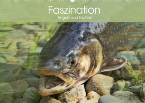 Faszination Angeln und Fischen (Wandkalender 2022 DIN A2 quer) von Stanzer,  Elisabeth