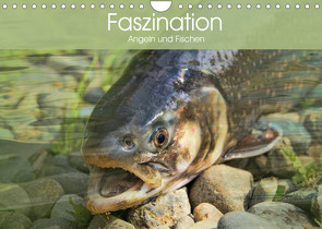 Faszination Angeln und Fischen (Wandkalender 2022 DIN A4 quer) von Stanzer,  Elisabeth