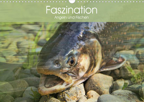 Faszination Angeln und Fischen (Wandkalender 2023 DIN A3 quer) von Stanzer,  Elisabeth