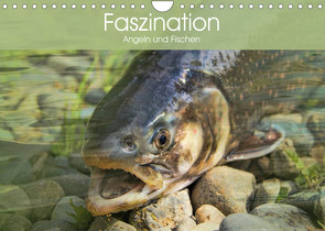 Faszination Angeln und Fischen (Wandkalender 2023 DIN A4 quer) von Stanzer,  Elisabeth