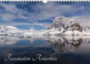 Faszination Antarktis (Wandkalender 2019 DIN A4 quer) von Altmaier,  Michael
