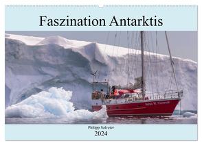 Faszination Antarktis (Wandkalender 2024 DIN A2 quer), CALVENDO Monatskalender von Salveter,  Philipp