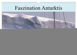 Faszination Antarktis (Wandkalender 2024 DIN A3 quer), CALVENDO Monatskalender von Salveter,  Philipp