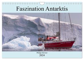Faszination Antarktis (Wandkalender 2024 DIN A4 quer), CALVENDO Monatskalender von Salveter,  Philipp