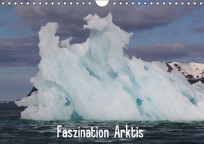 Faszination Arktis (Wandkalender 2019 DIN A4 quer) von Springer,  Heike