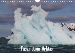 Faszination Arktis (Wandkalender 2020 DIN A4 quer) von Springer,  Heike